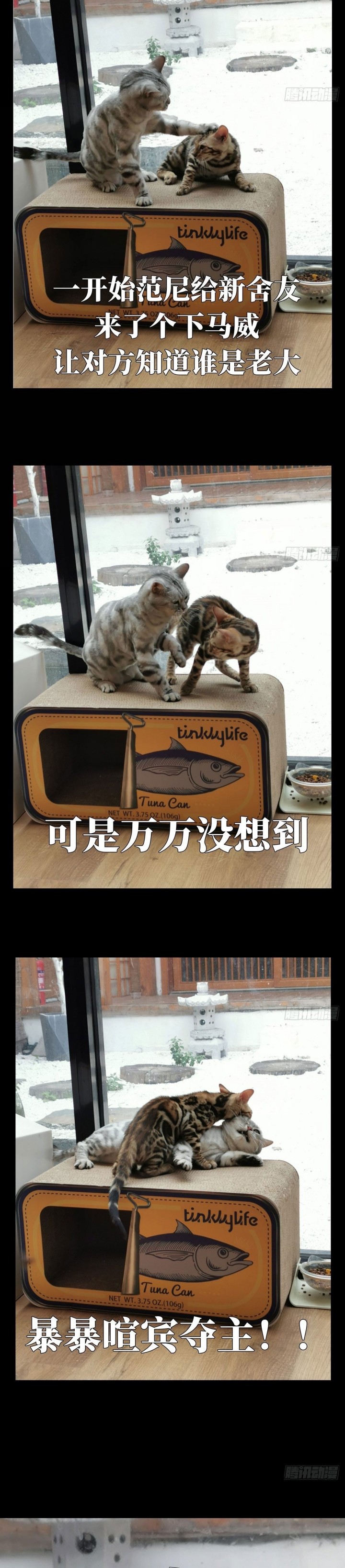 Elephant Invisible (Da Xiang Wuxing)